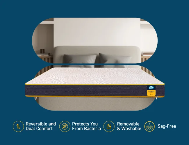 Bedding & Accessories