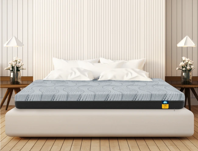 Aerosoft Ortho Plus Mattress