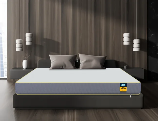 Aerosoft Ortho Mattress